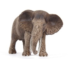 [슐라이히_공식]- 암컷 아프리카 코끼리