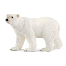 [슐라이히_공식]- 북극곰